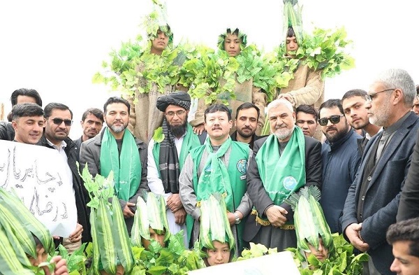 غرس دو میلیون نهال در افغانستان در روز ملی درخت کاری