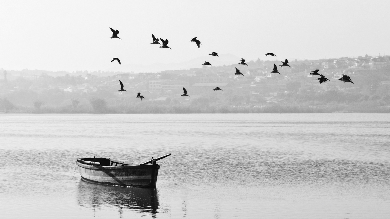 برترین تصاویر پس&zwnj;زمینه (۲۰ آبان)