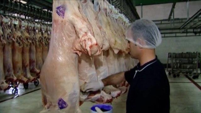 بهداشت و سلامت مواد پروتئینی و جلوگیری از ابتلا به ویروس کرونا + فیلم