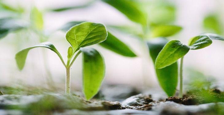 ۹ دلیل برای زندگی کردن با یک هدف مشخص