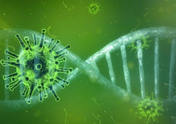 افزایش آمار مبتلایان کرونا در آذربایجان شرقی