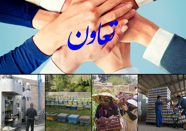 نظارت بر ۱۹۶ تعاونی در استان همدان