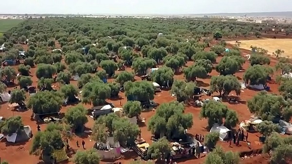 ادلب سوریه پیش از جنگ: فرش، زیتون و صنایع دستی