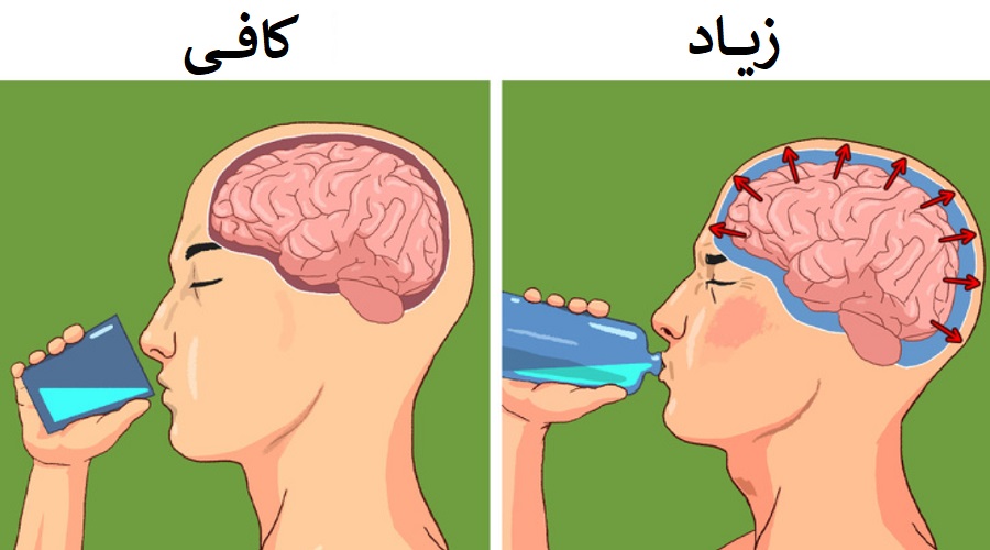 مواد غذایی سالمی که زیاده روی در مصرف آن&zwnj;ها مضر است