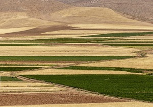 تعیین تکلیف ۲۱ پرونده اراضی ملی در کردستان