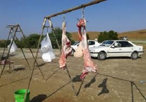یک سال حبس تعزیری برای قصاب متخلف