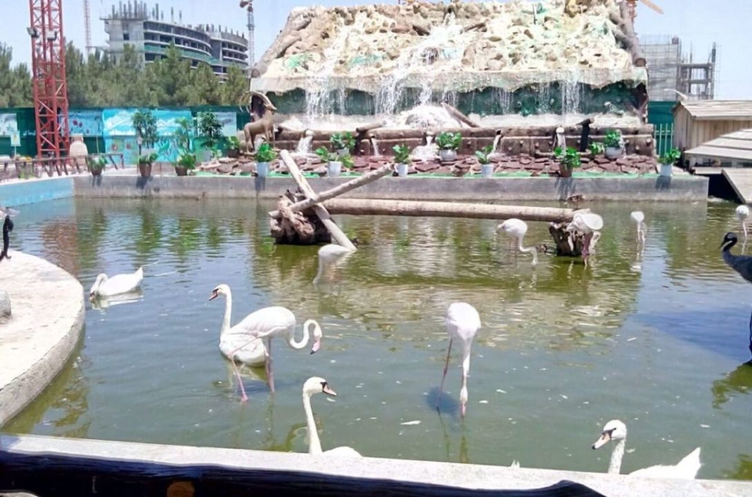 تعطیلی باغ وحش، باغ پرندگان و بازار پرندگان مشهد
