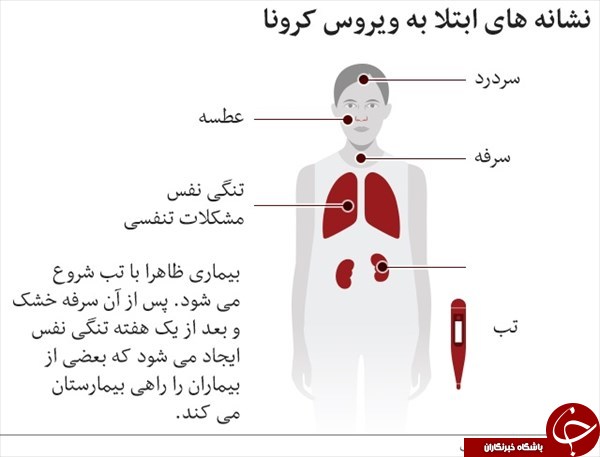 سفیدبالانی به اسم سفیر امید و زندگانی