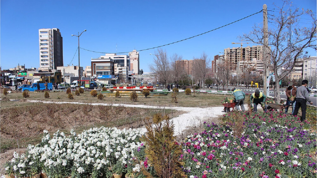 تابلوی زیبای بهاره با کاشت شب بو در میدان بزرگ ائل گلی