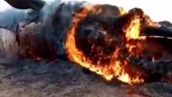 لحظه به آب انداختن كشتى + فیلم