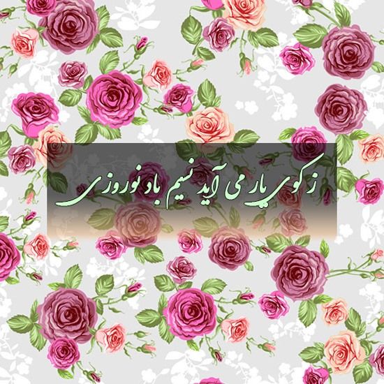 زیباترین والپیپر و تصاویر پروفایل ویژه نوروز ۹۹