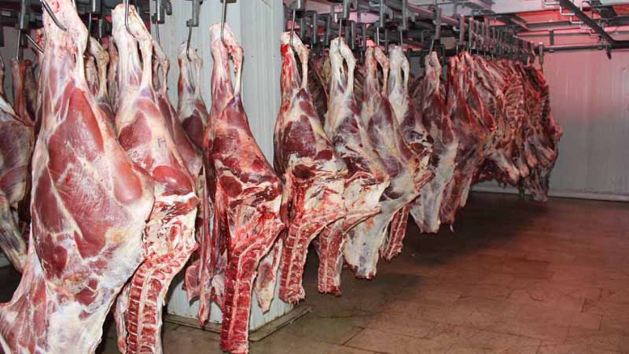 ۸۰۰ تُن گوشت سفید و قرمز در بازار آذربایجان&zwnj;غربی توزیع می&zwnj;شود
