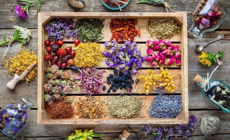خواص اعجاب انگیز گیاهان دارویی