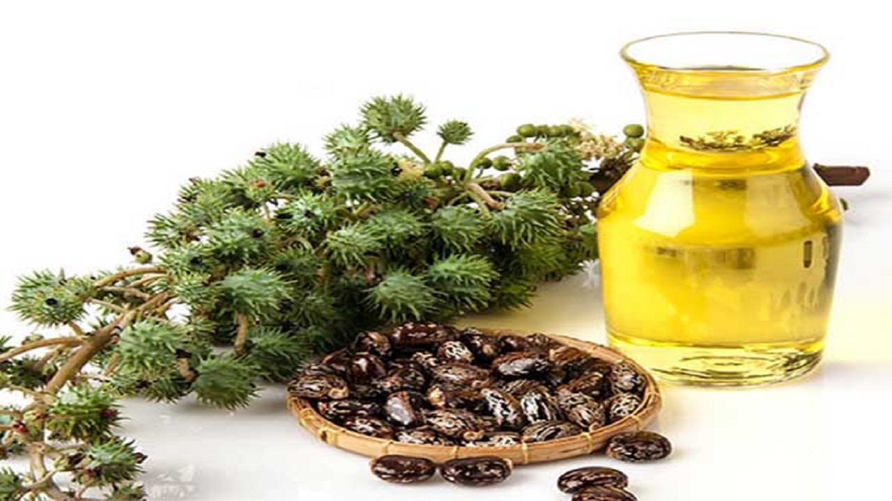 برای داشتن ابرو‌های پر پشت چه کنیم