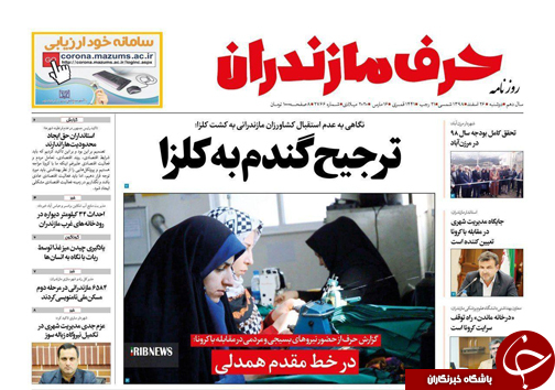در خط مقدم همدلی/ترجیح گندم به کلزا