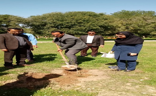 آرامگاه قیصر امین پور با کاشت نهال سبز شد