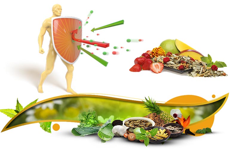 بهترین غذاها برای تقویت سیستم ایمنی کدامند؟