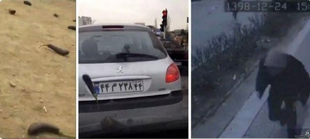 نگرانی یا شگفت‌زدگی؛ واکنش کاربران به بارش بادمجان از آسمان در روزهای کرونایی چه بود؟