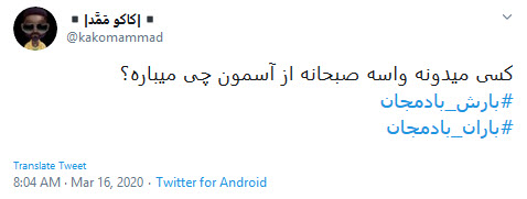 نگرانی یا شگفت&zwnj;زدگی؛ واکنش کاربران به بارش بادمجان از آسمان در روزهای کرونایی چه بود؟