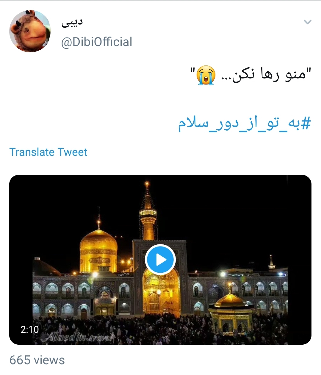 هتک حرمت