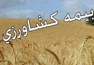 کشاورزان محصولات خود را بیمه کنند