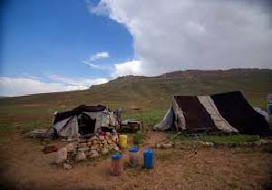 کرونا کوچ بهاره عشایر مهاباد را به تعویق انداخت