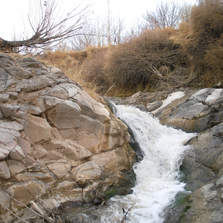 کاشمر