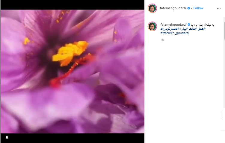 قول سام درخشانی برای حمایت از هنر آواز چوپان جوان ؛