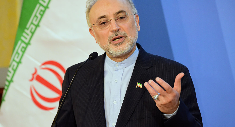 صالحی: مراسم روز ملی فناوری هسته‌ای برگزار نخواهد شد