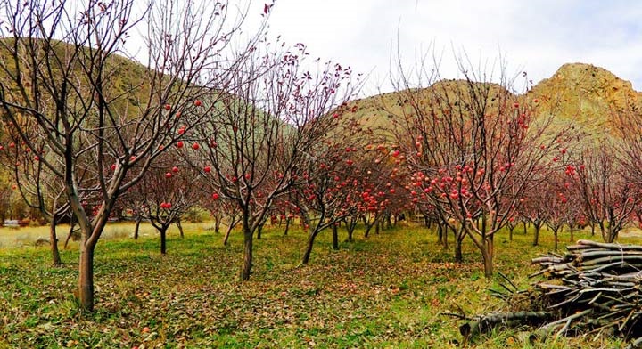 گردشگری مجازی در تهران؛ چهارمین غار طولانی ایران را بشناسید + فیلم و تصاویر