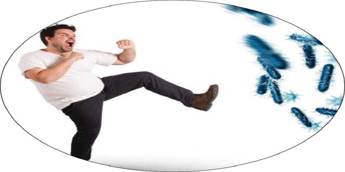 در دسترس‌ترین خوراکی‌ها برای تقویت سیستم ایمنی