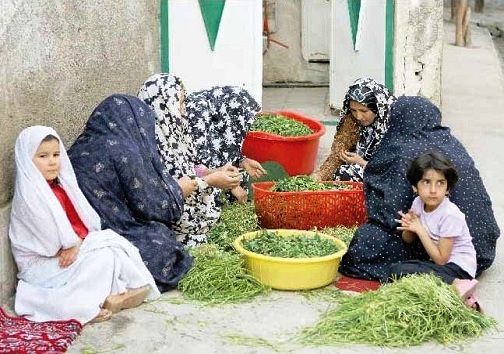 باد، گیاهان بی&zwnj;ریشه را با خود خواهد برد / زبان مادری هرکس، هویت اوست