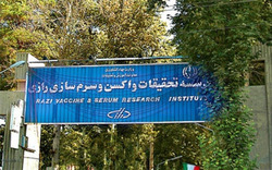 برگزاری سمینار تخصصی واکسن در موسسه رازی