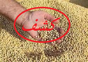 از توقیف دو کامیون تا کشف دو میلیارد سویای قاچاق