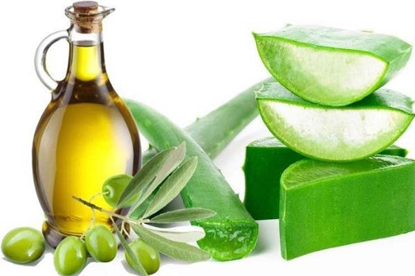 ۵ خاصیت باورنکردنی آلوئه ورا برای مو