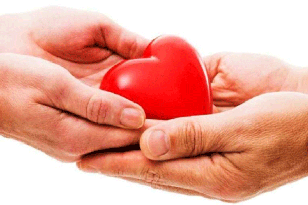 اهدای عضو ۱۴ بیمار مرگ مغزی در همدان