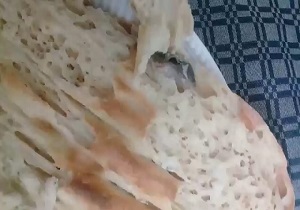 نان با طعم حلزون! + فیلم