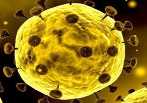 ابتلای ۲ نفر در اصفهان به ویروس کرونا تایید شد