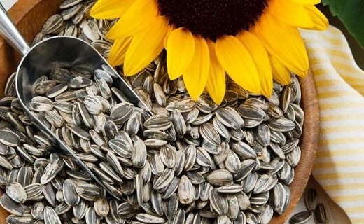 تقویت سیستم ایمنی بدن با ۲۰ ماده مغذی / مبارزه با کرونا