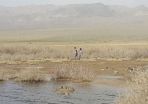 جدال کجی نهبندان با طوفان و گرما/چهره تالاب چنگی به دل نمی زند