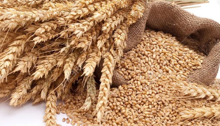 نان های سبوس دار با عطر سلامتی