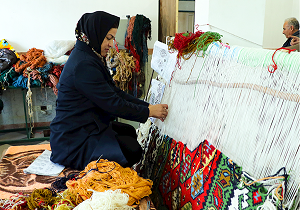 صدور ۱۸۰ مجوز مشاغل خانگی در استان اردبیل