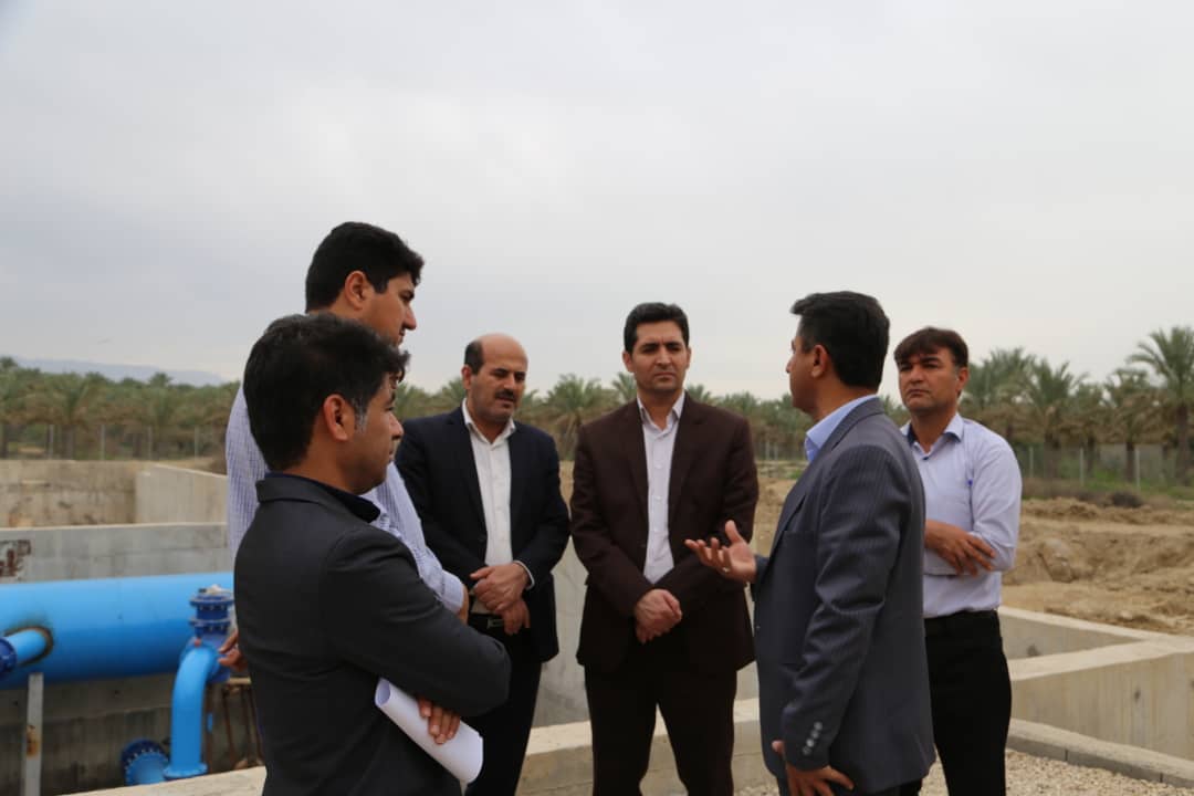پیشرفت  ۹۵ درصدی برق‌رسانی به پمپاژ آب نخیلات دشتستان