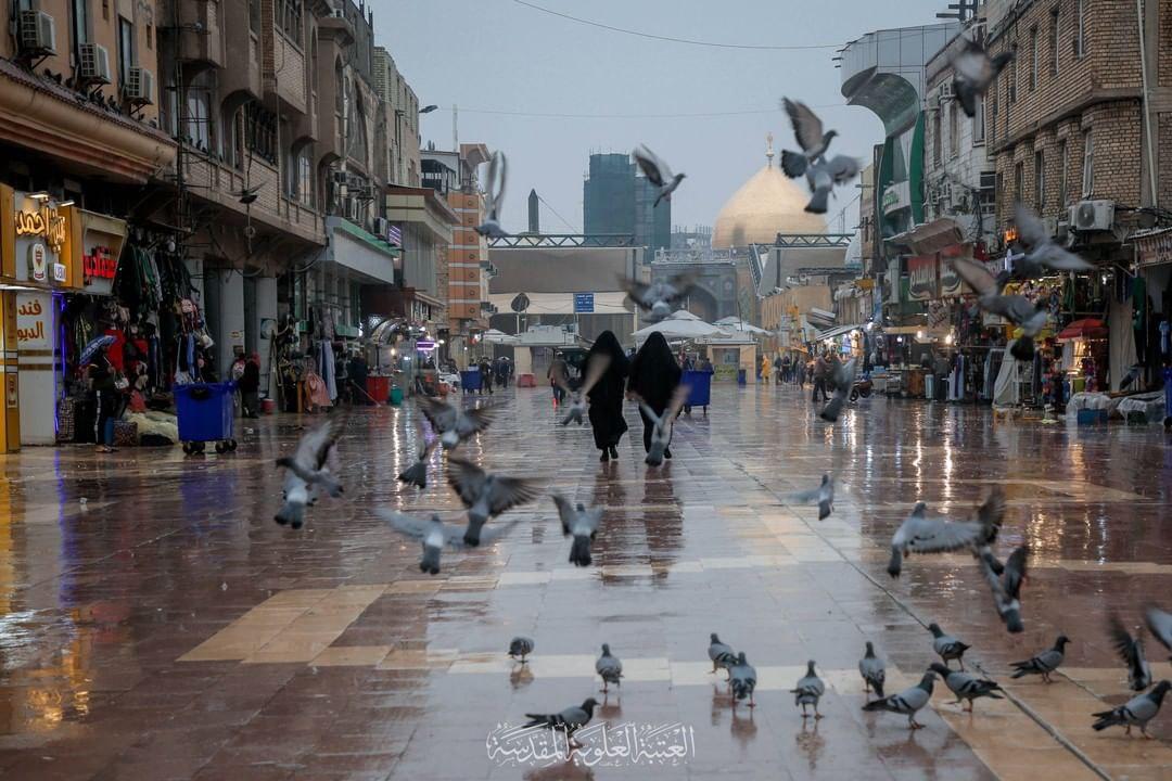 لحظه نزول رحمت الهی در صحن و سرای حرم امیرالمومنین (ع)