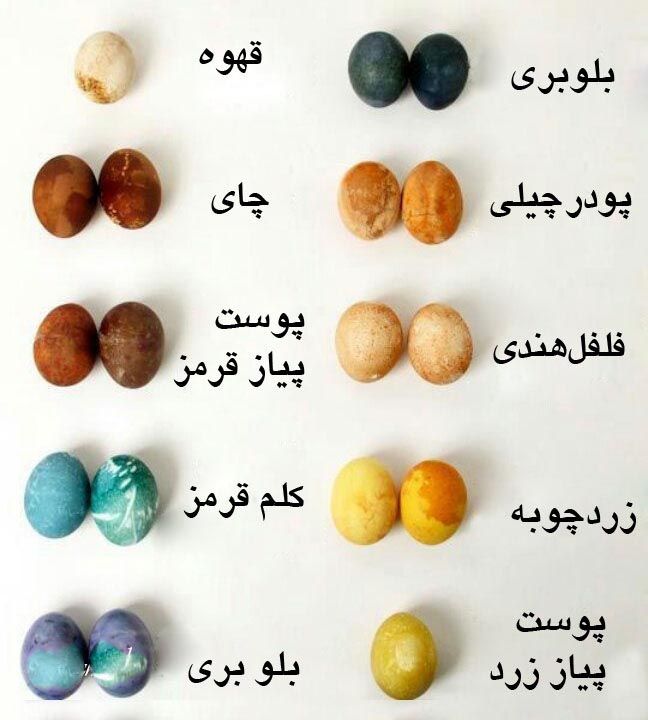 آموزش دم کردن کردن قهوه