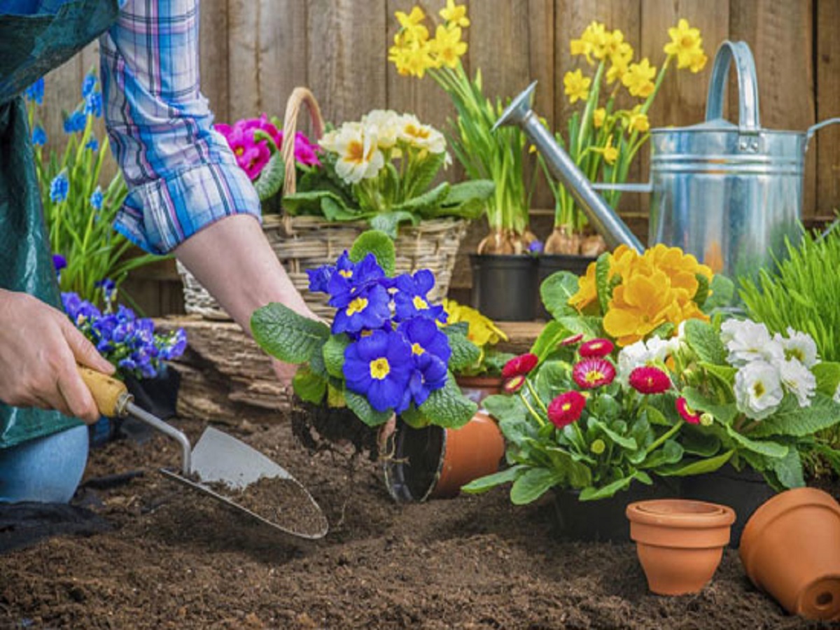 باغچه‌های زمستانی را به استقبال بهار ببریم