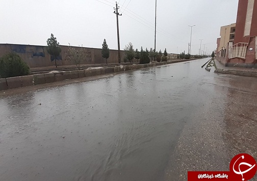 بارش باران به روایت تصویر