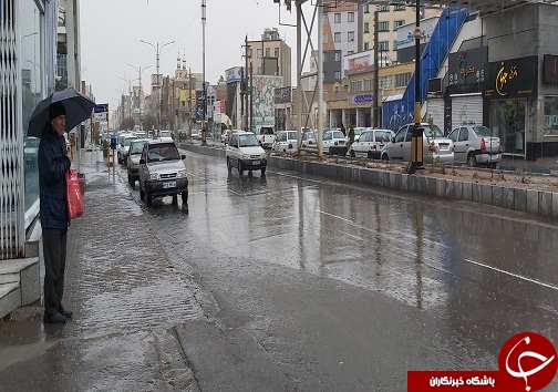 بارش باران به روایت تصویر
