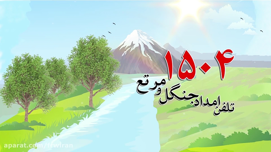 کشاورزان وجود ملخ را به سامانه ۱۵۰۴ اطلاع دهند