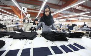 جذب ۸۵ درصد از اعتبارات اشتغال مددجویان کمیته امداد خراسان شمالی